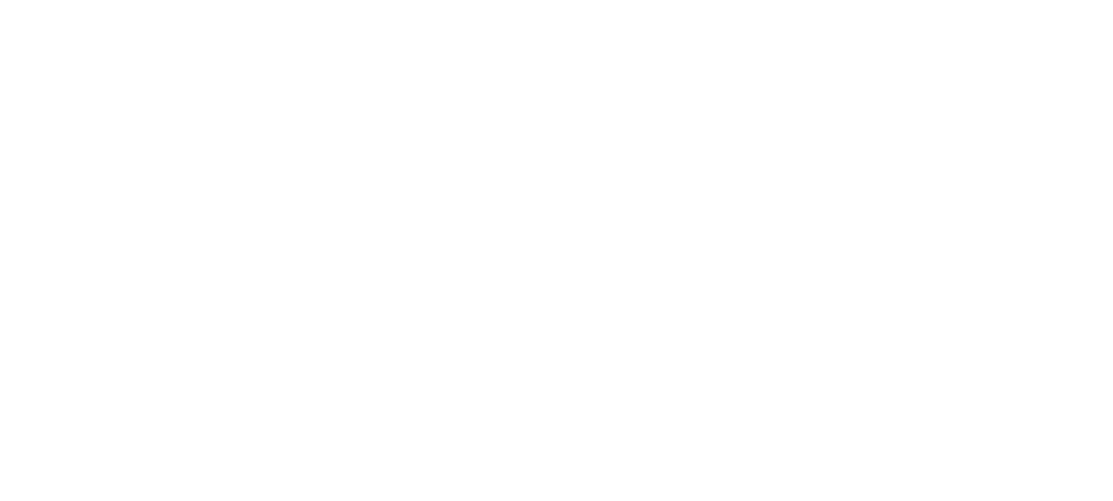 Fintech Business