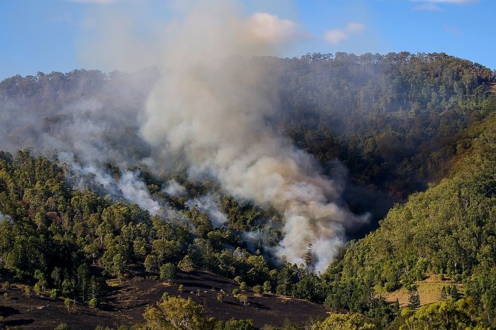 Australian bushfires