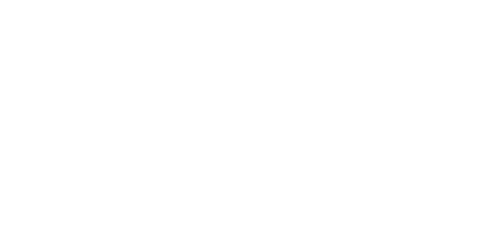 Adviser Innovation