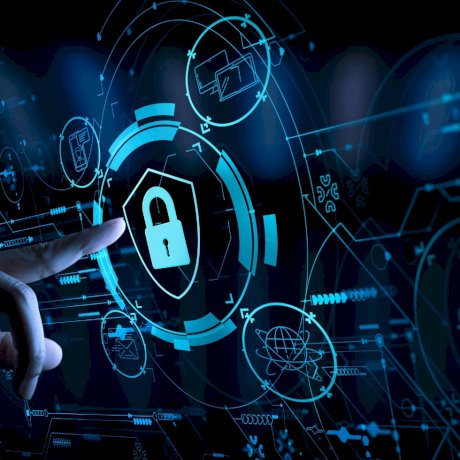 Cyber Daily