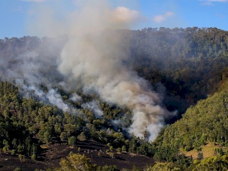 Australian bushfires