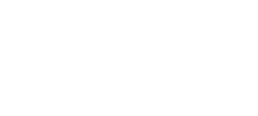 The Adviser